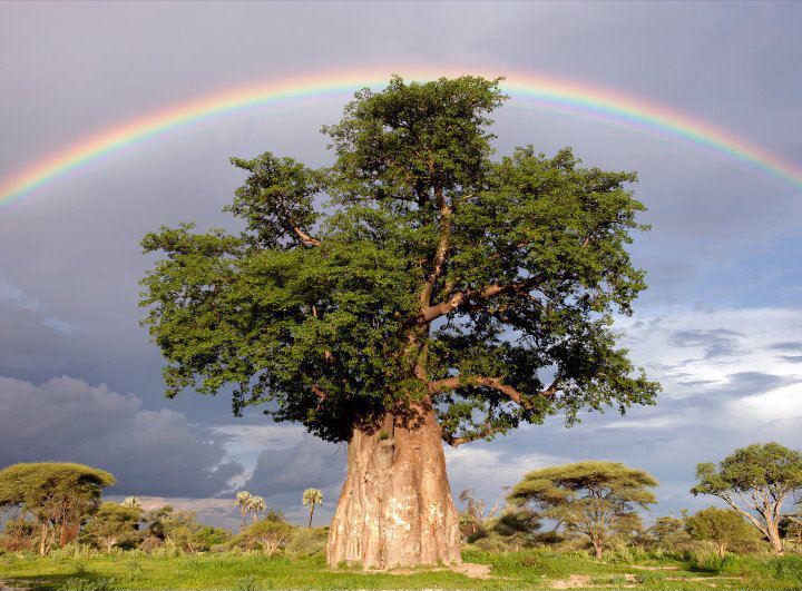 Interrogation_croyance_psychotherapie