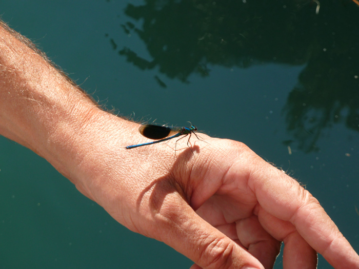 Rencontres-au-present