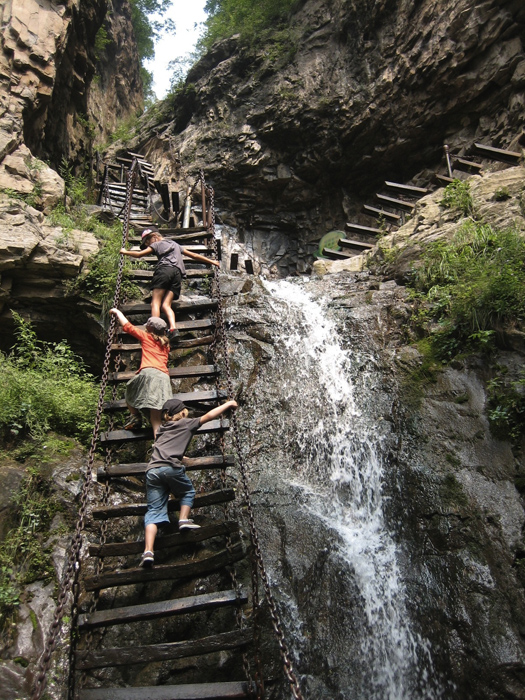 bonheur reflexion au fil des mots